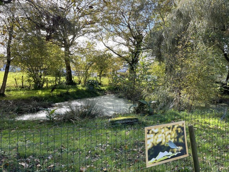 Fonds et murs commerciaux a vendre Locminé 56500 Morbihan 200 m2  364760 euros