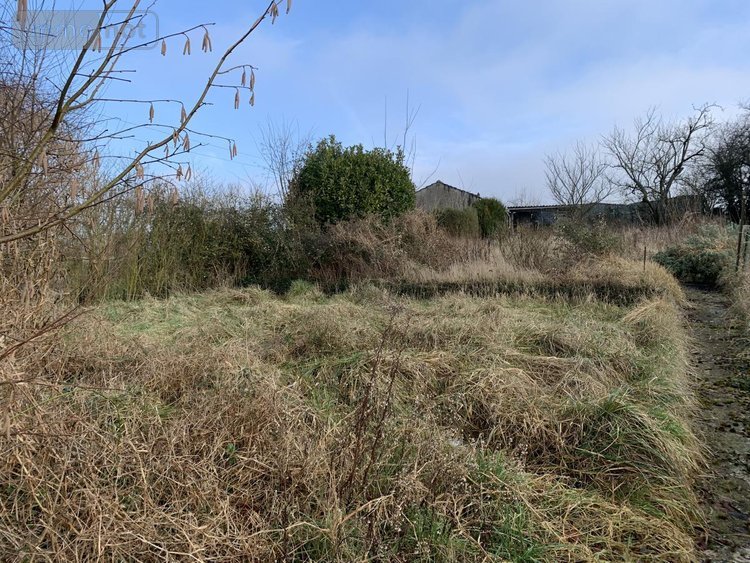 Maison a vendre Prouilly 51140 Marne 120 m2 6 pièces 279000 euros