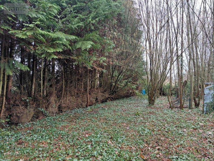 Maison a vendre Bellavilliers 61360 Orne 87 m2 4 pièces 90950 euros