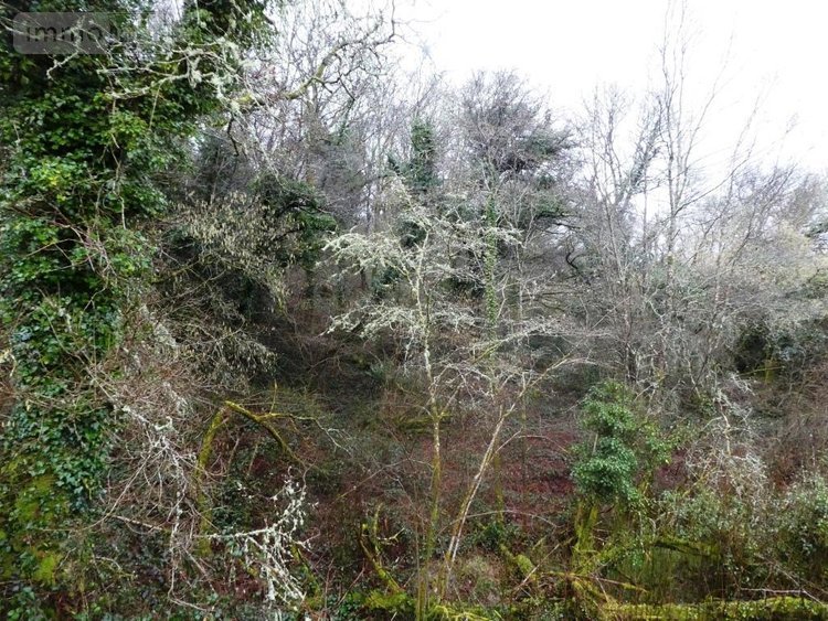 Terrains de loisirs bois etangs a vendre Saint-Tugdual 56540 Morbihan 13922 m2  10600 euros