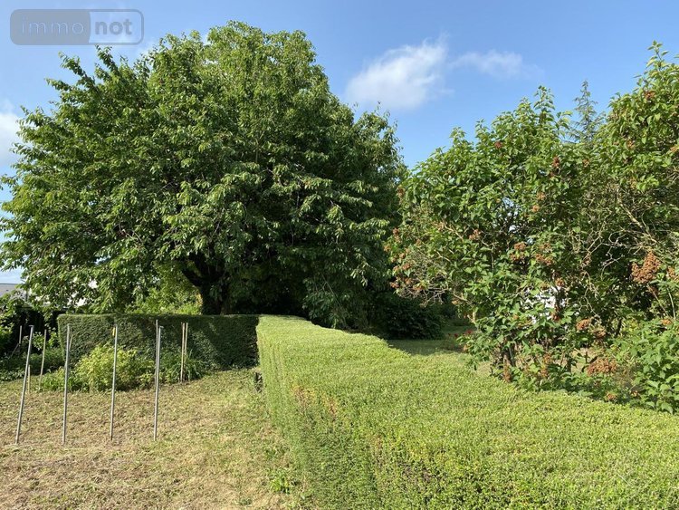 Maison a vendre Rives-du-Loir-en-Anjou 49140 Maine-et-Loire 134 m2 6 pièces 317210 euros