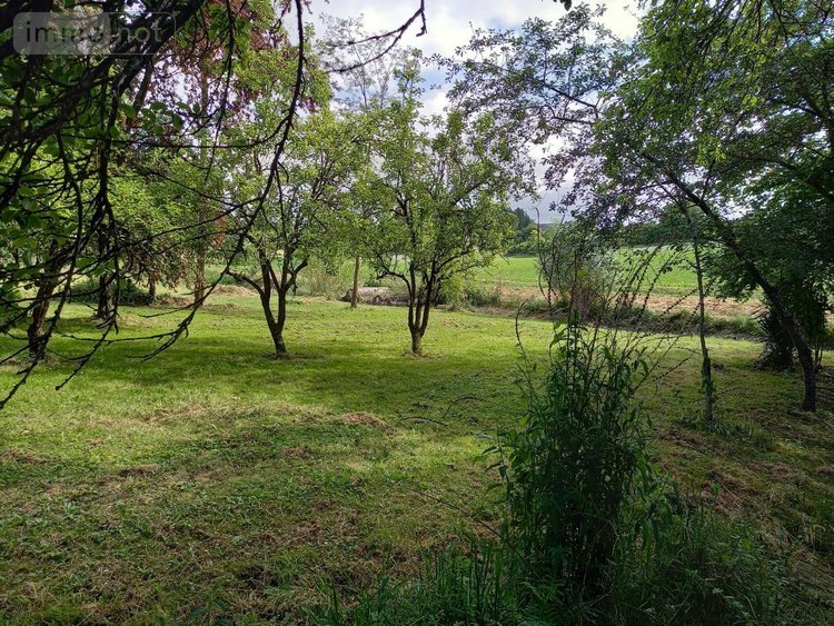 Terrains de loisirs bois etangs a vendre Parçay-sur-Vienne 37220 Indre-et-Loire 7760 m2  23600 euros