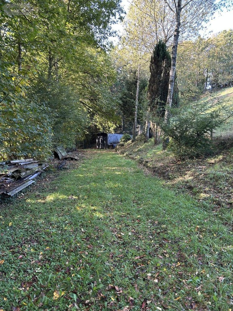 Terrains de loisirs bois etangs a vendre Corps-Nuds 35150 Ille-et-Vilaine 7700 m2  18000 euros