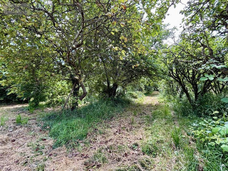 Maison a vendre Juillé 72170 Sarthe 93 m2 4 pièces 136480 euros