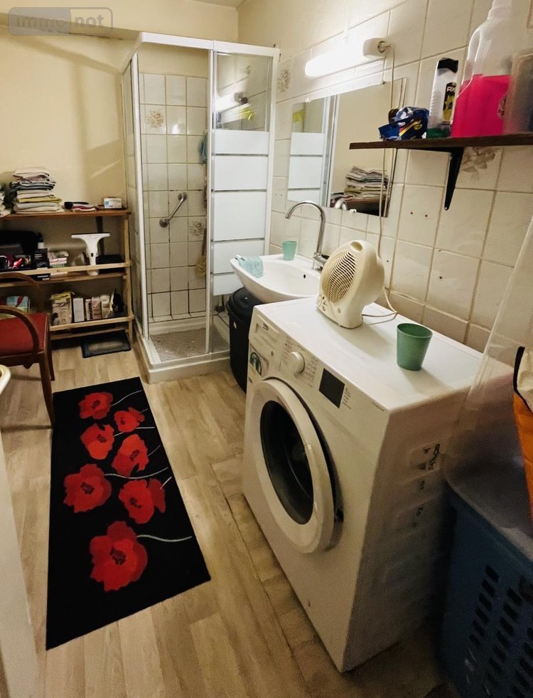 Viager immeuble de rapport Dole 39100 Jura 172 m2  50000 euros
