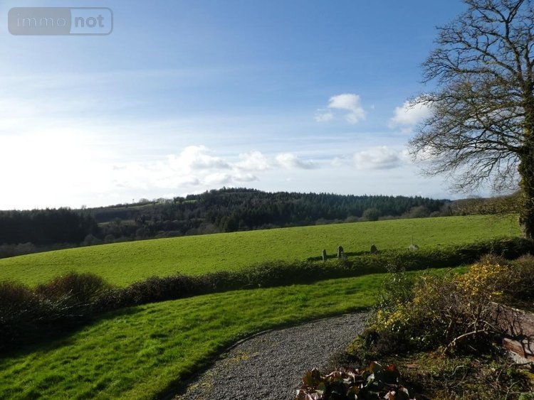 Maison a vendre Langoëlan 56160 Morbihan 280 m2 10 pièces 367000 euros