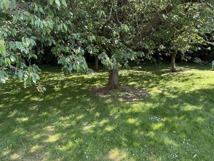 Maison a vendre Housset 02250 Aisne 419 m2 15 pièces 555440 euros