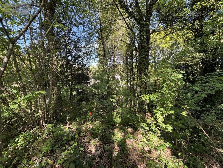 Terrain a batir a vendre Saint-Antoine-du-Rocher 37360 Indre-et-Loire 1748 m2  85600 euros