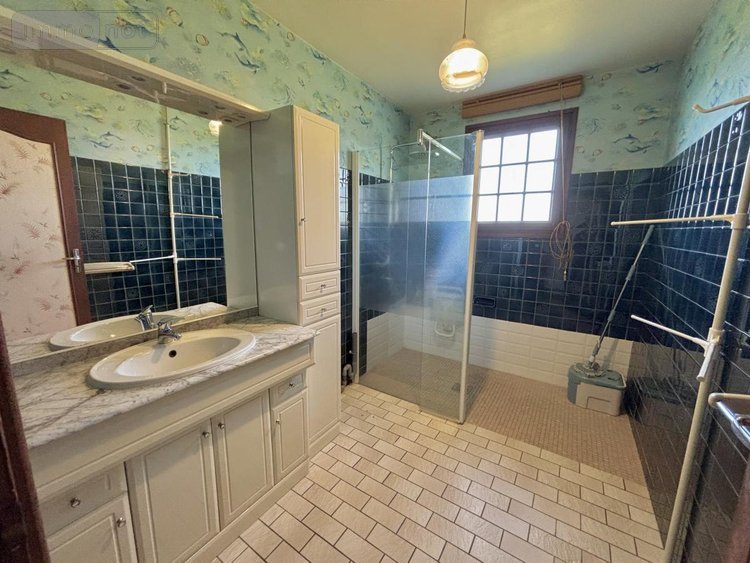 Maison a vendre Saint-Laurent-sur-Gorre 87310 Haute-Vienne 111 m2 5 pièces 159284 euros