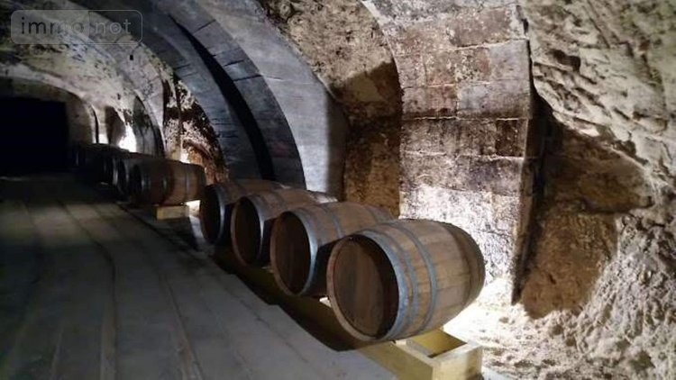 Divers a vendre Saumur 49400 Maine-et-Loire 858 m2  886000 euros