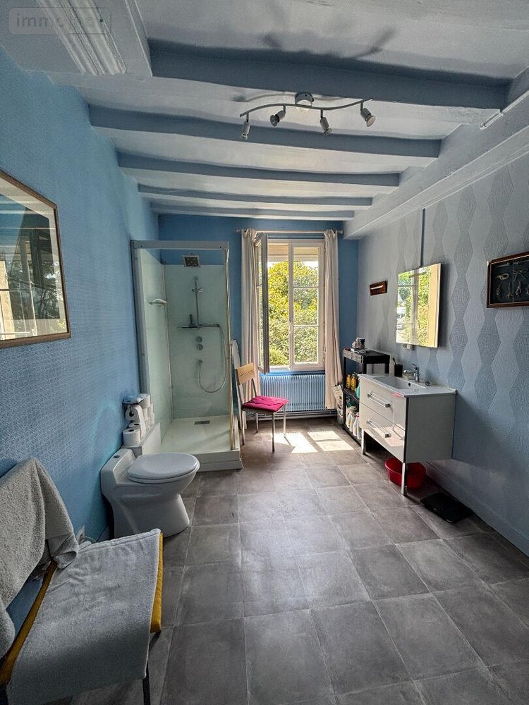 Maison a vendre Doué-en-Anjou 49700 Maine-et-Loire 440 m2 7 pièces 584480 euros