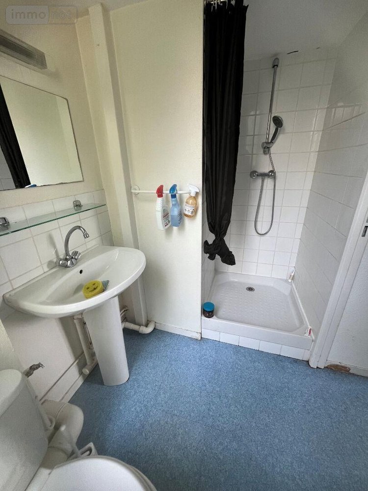 Location appartement Rennes 35000 Ille-et-Vilaine 29 m2 2 pièces 501 euros