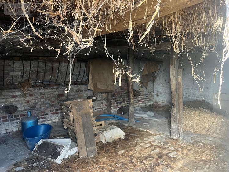 Maison a vendre Merckeghem 59470 Nord 60 m2 3 pièces 95525 euros