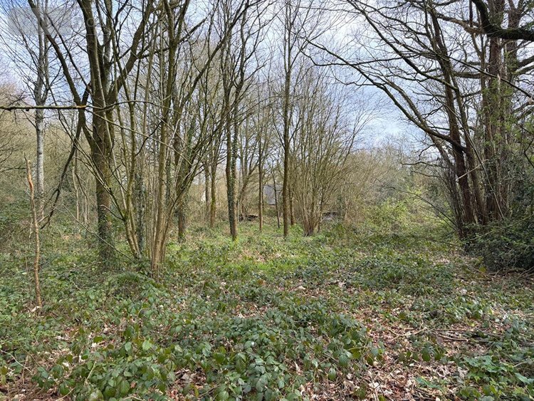 Maison a vendre Orgères 35230 Ille-et-Vilaine 110 m2 3 pièces 273000 euros