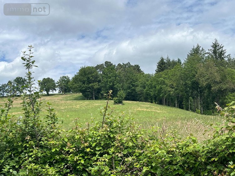 Maison a vendre Viazac 46100 Lot 97 m2 3 pièces 250200 euros