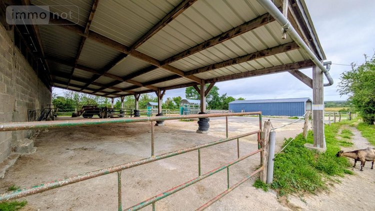 Divers a vendre Sainte-Colombe 50390 Manche  609500 euros