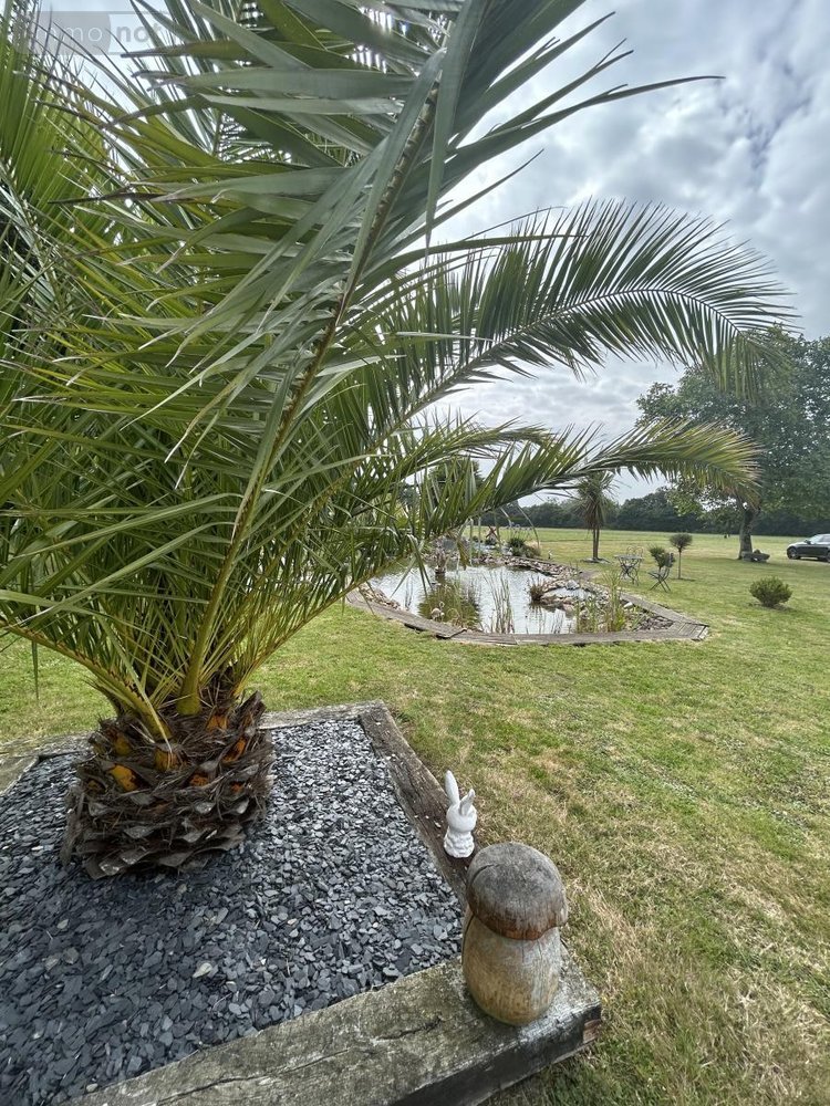 Maison a vendre Lanvollon 22290 Côtes-d'Armor 201 m2 6 pièces 646600 euros