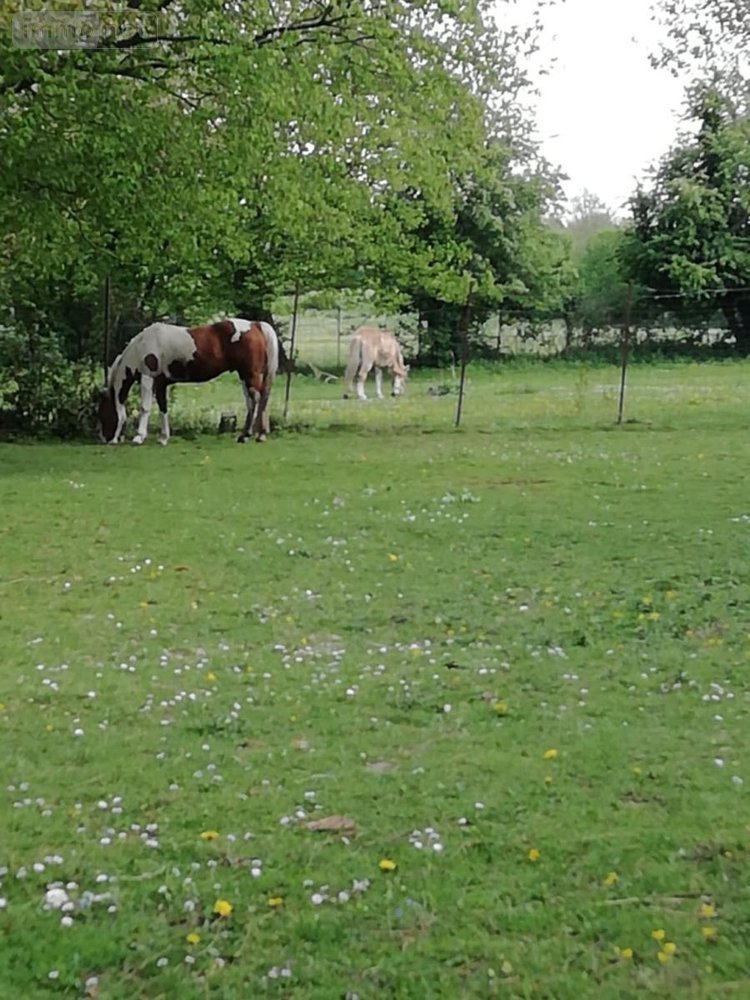 Maison a vendre Aumerval 62550 Pas-de-Calais 116 m2 5 pièces 280800 euros