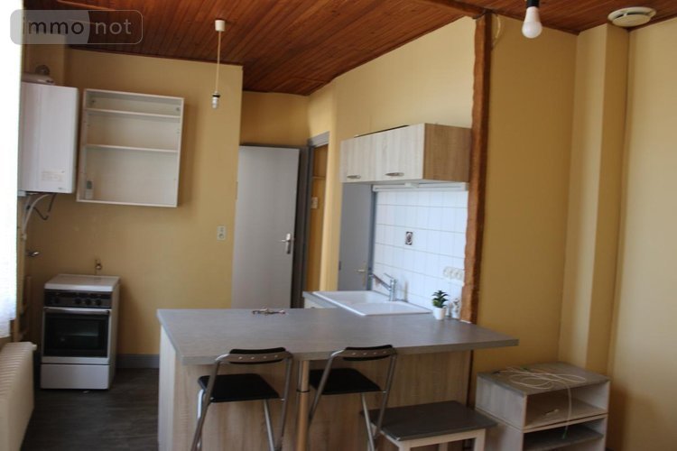 Maison a vendre Vichy 03200 Allier 100 m2  210000 euros