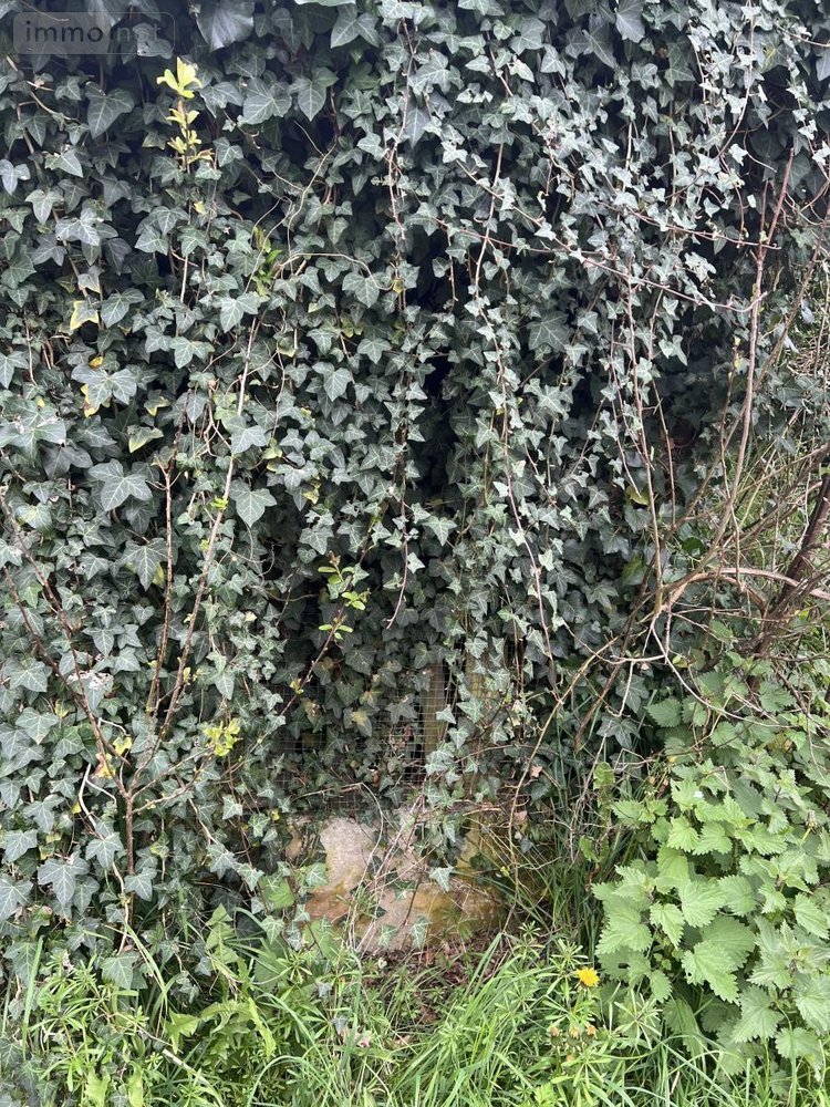 Maison a vendre Éréac 22250 Côtes-d'Armor 120 m2 6 pièces 106690 euros