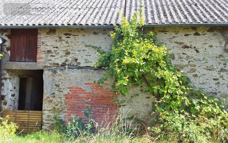 Maison a vendre Mozé-sur-Louet 49610 Maine-et-Loire 55 m2 3 pièces 84000 euros