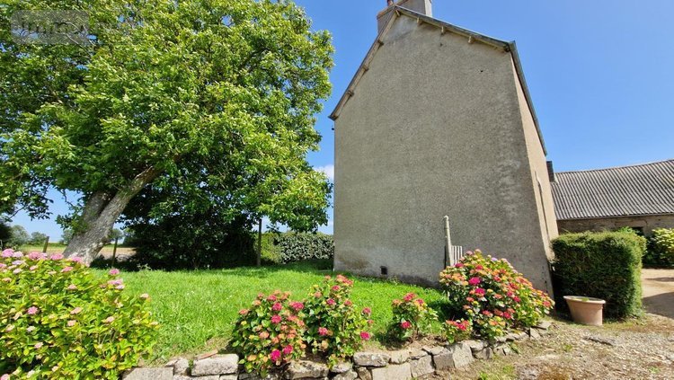 Maison a vendre Taulé 29670 Finistère 290 m2  346830 euros