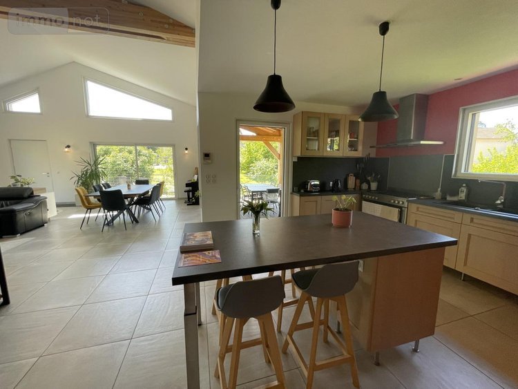 Maison a vendre Ceyzériat 01250 Ain 165 m2 7 pièces 475000 euros