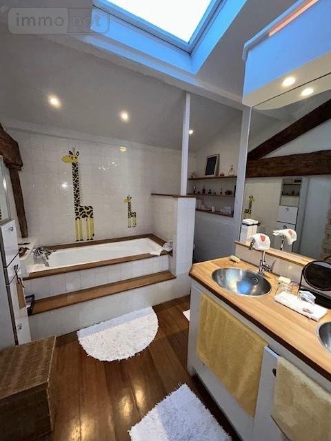 Viager maison Riom 63200 Puy-de-Dôme 320 m2 14 pièces 477750 euros