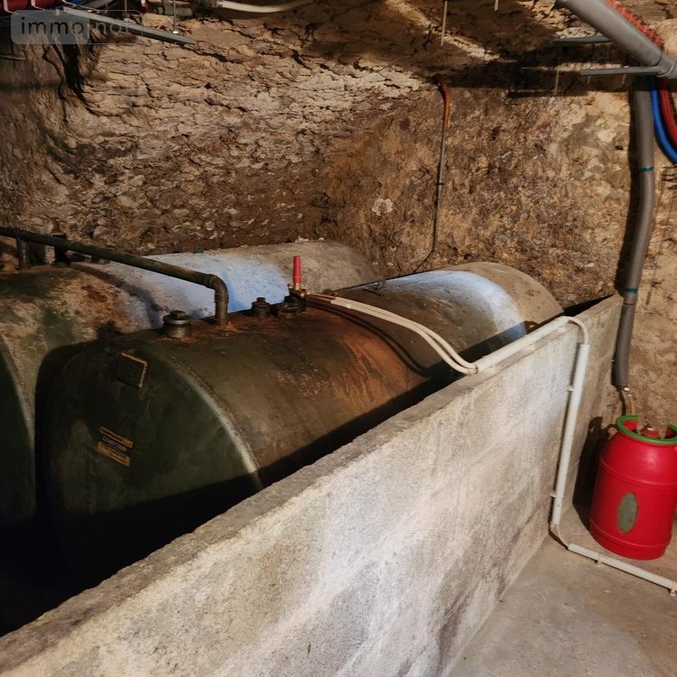 Maison a vendre Saint-Cosme-en-Vairais 72110 Sarthe 186 m2 7 pièces 270400 euros