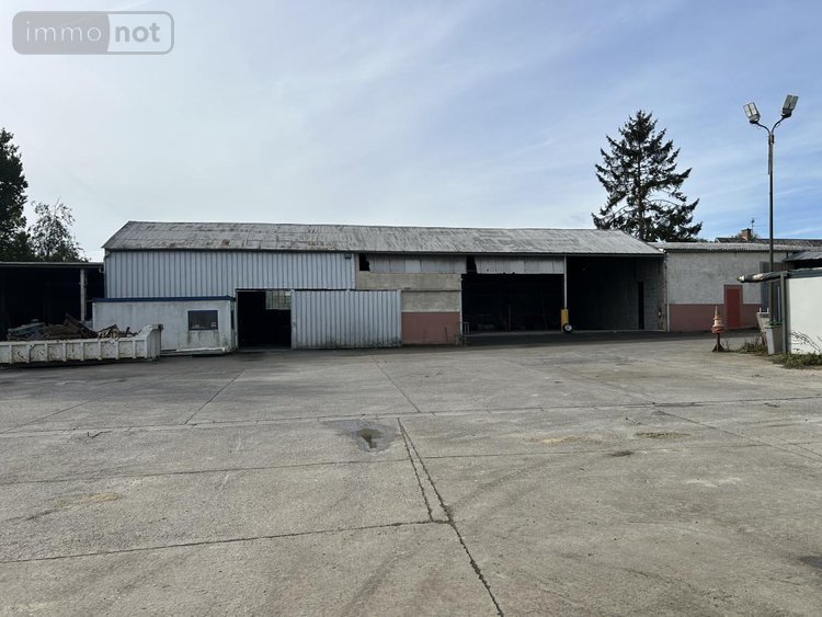 Location fonds et murs commerciaux Rumilly-en-Cambrésis 59281 Nord 1640 m2  3154 euros