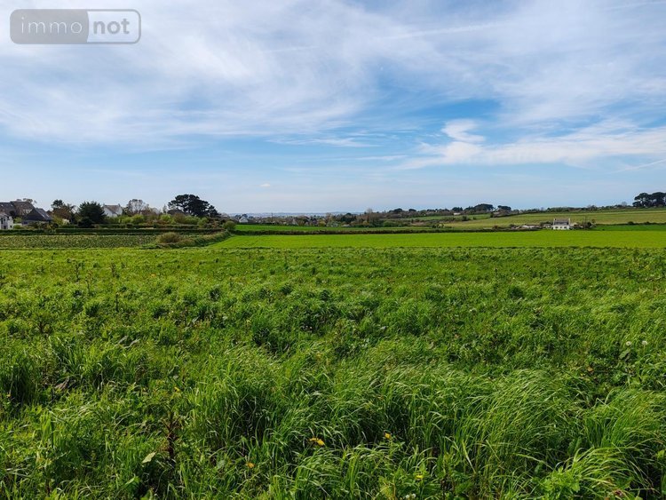 Terrain a batir a vendre Plougasnou 29630 Finistère 479 m2  72725 euros