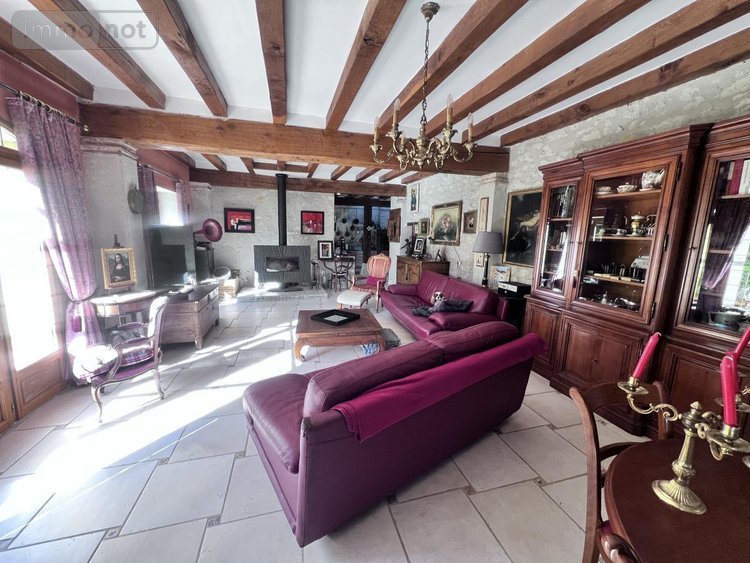 Maison a vendre Châtillon-sur-Cher 41130 Loir-et-Cher 385 m2 14 pièces 420000 euros