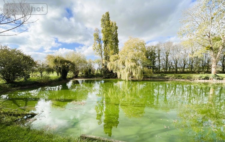 Maison a vendre Nouans 72260 Sarthe 271 m2 9 pièces 299900 euros