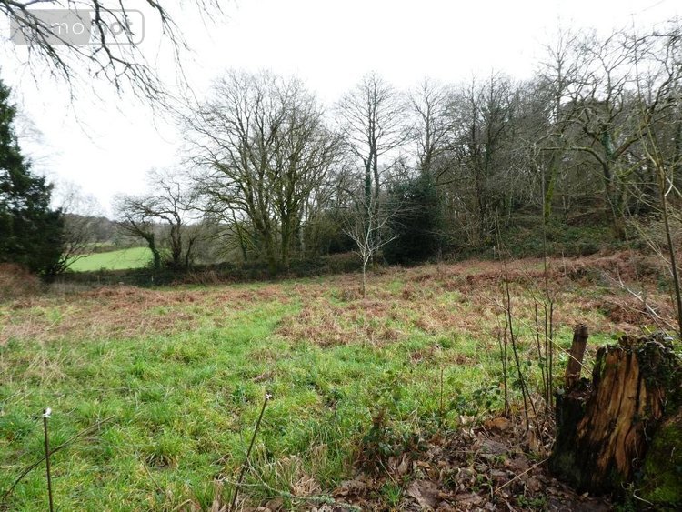 Divers a vendre Lignol 56160 Morbihan 60 m2  27710 euros