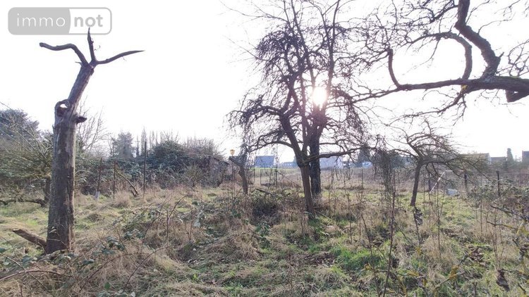 Maison a vendre Beaurains 62217 Pas-de-Calais 60 m2 3 pièces 161700 euros