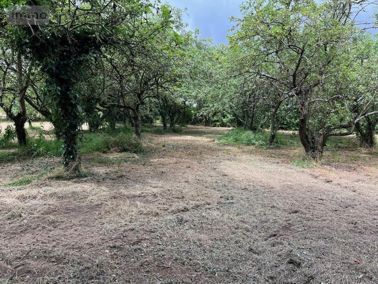 Maison a vendre Teillé 72290 Sarthe 60 m2 3 pièces 113688 euros