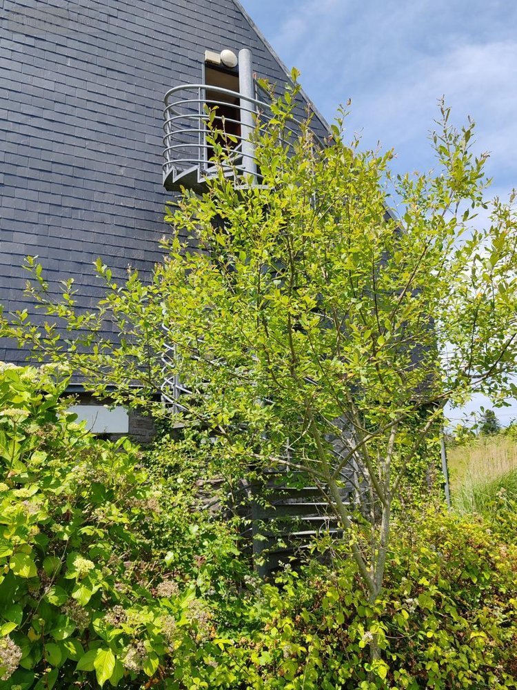 Immeuble a vendre Plounéour-Ménez 29410 Finistère 250 m2  121210 euros