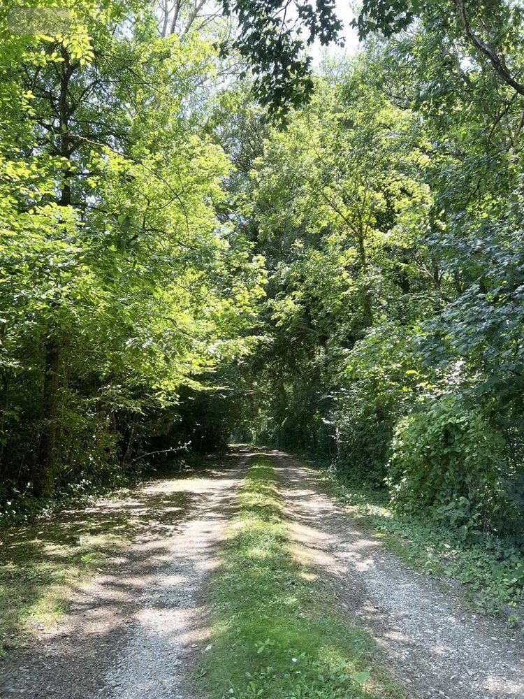 Maison a vendre Marchenoir 41370 Loir-et-Cher 231 m2 6 pièces 609000 euros