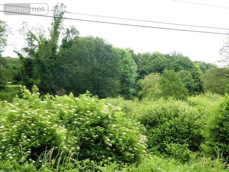 Terrains de loisirs bois etangs a vendre Plouray 56770 Morbihan 28430 m2  15990 euros