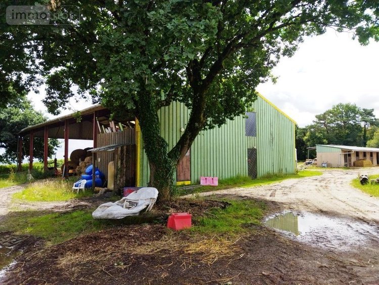 Divers a vendre Malguénac 56300 Morbihan 1 m2  471500 euros