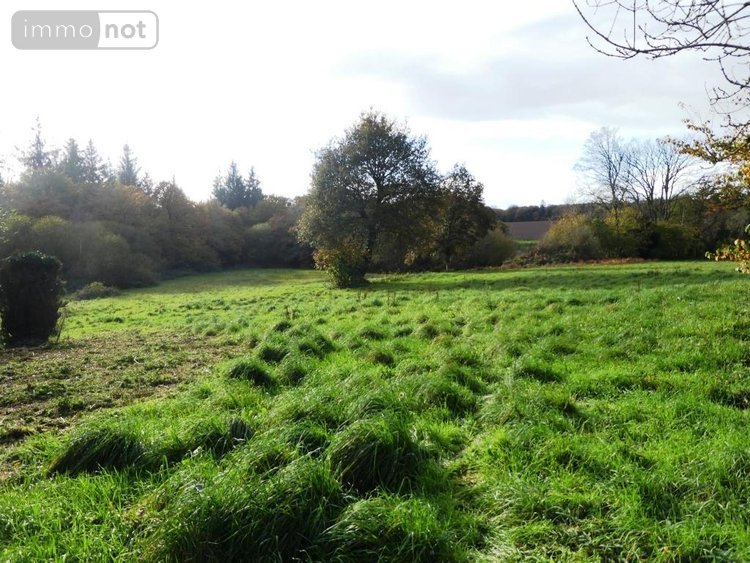 Maison a vendre Langoëlan 56160 Morbihan 160 m2 9 pièces 272950 euros