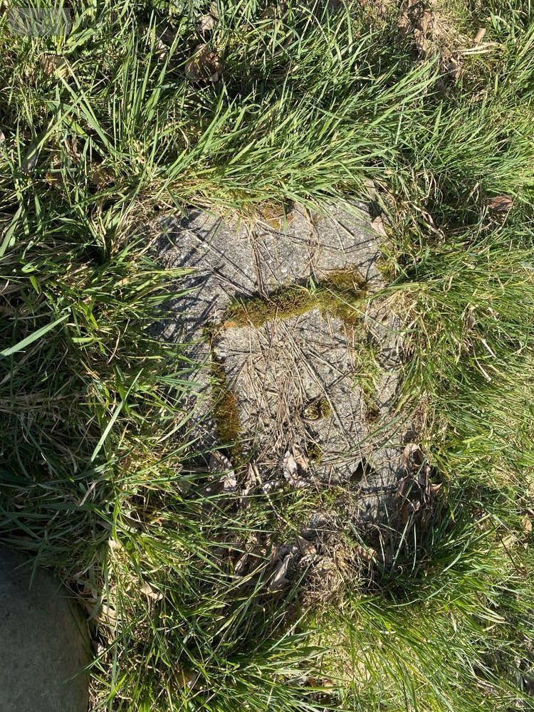 Maison a vendre La Graverie 14350 Calvados 48 m2 2 pièces 88810 euros