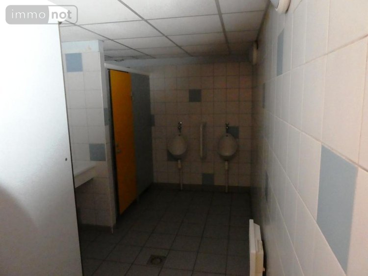 Maison a vendre Silfiac 56480 Morbihan 350 m2 10 pièces 288600 euros