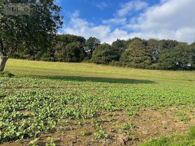 Maison a vendre Le Mené 22330 Côtes-d'Armor 120 m2  63000 euros