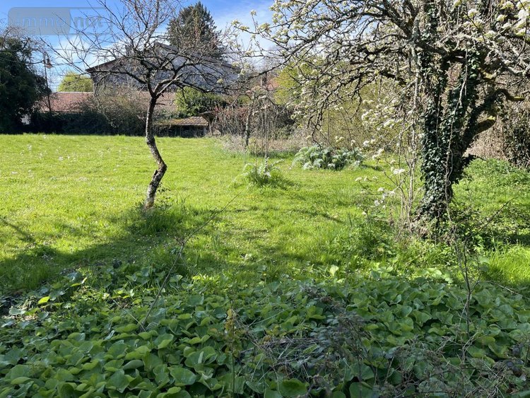Terrain a batir a vendre Châtillon-la-Palud 01320 Ain 813 m2  112000 euros