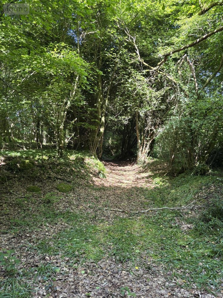 Terrains de loisirs bois etangs a vendre Noues de Sienne 14380 Calvados 185705 m2  399000 euros