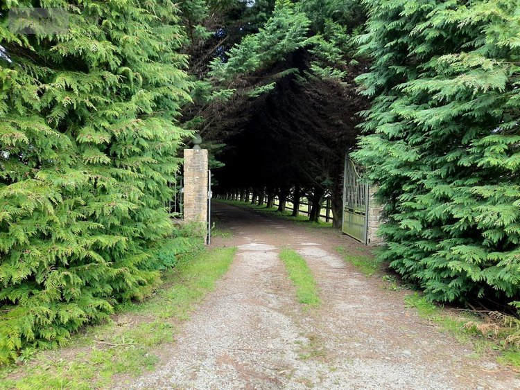 Maison a vendre Moustoir-Ac 56500 Morbihan 97 m2  619372 euros