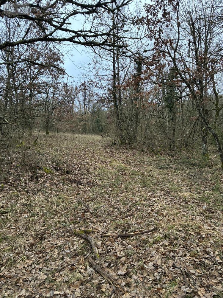 Terrains de loisirs bois etangs a vendre Saint-Jean-d'Alcapiès 12250 Aveyron 80070 m2  54000 euros