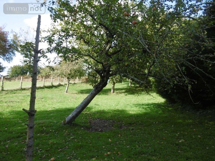 Maison a vendre Tinchebray Bocage 61800 Orne 118 m2 5 pièces 147700 euros