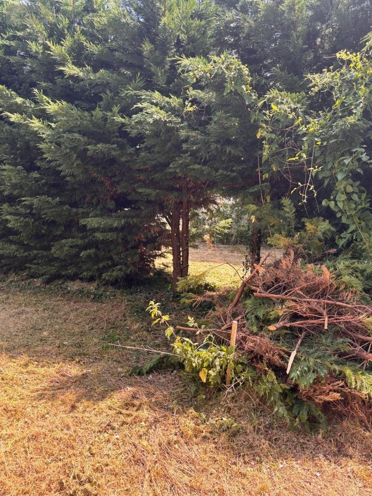 Terrain a batir a vendre Crouzilles 37220 Indre-et-Loire 2334 m2  33600 euros